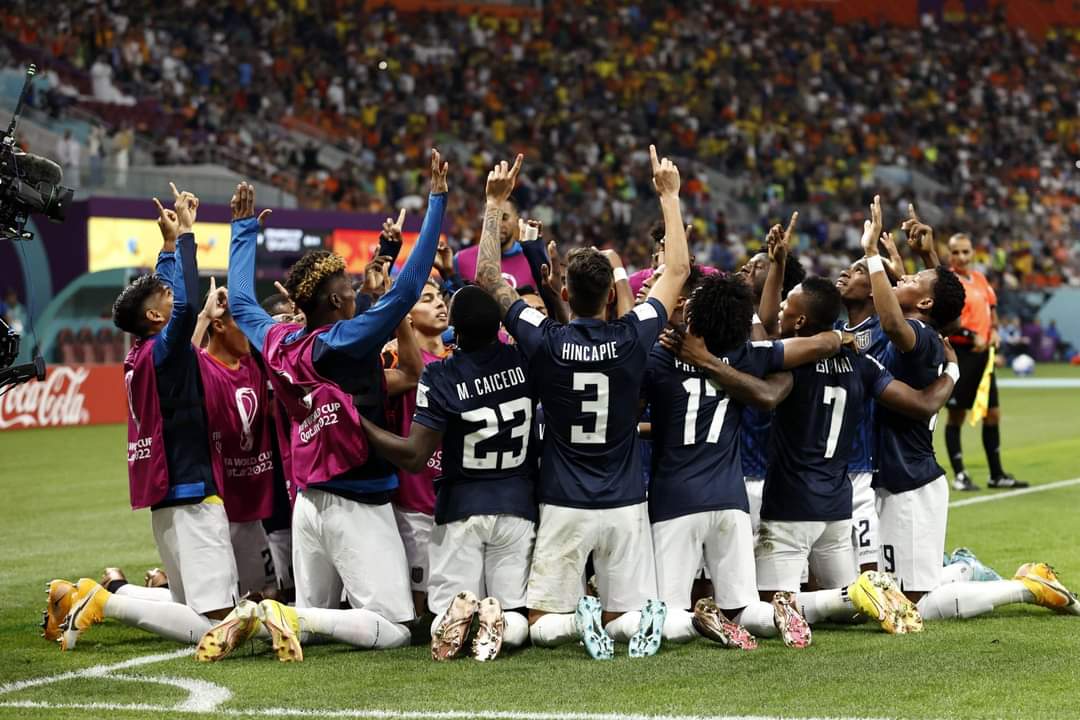 الإكوادور تفرض التعادل على هولندا.. وتطيح بقطر خارج كأس العالم
