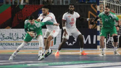الجزائر يهزم الرأس الأخضر ويتأهل لنهائي أمم إفريقيا لكرة اليد لمواجهة مصر.. تعرف على موعد المباراة