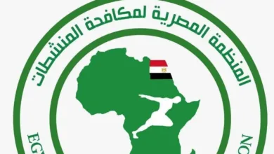 بيان عاجل من المنظمة المصرية لمكافحة المنشطات بشأن مباريات الدوري - صورة