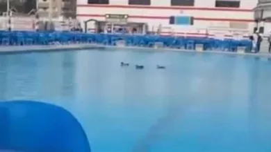 حتحوت يفجر مفاجأة بشأن فيديو "البط" داخل حمام السباحة في الزمالك - فيديو