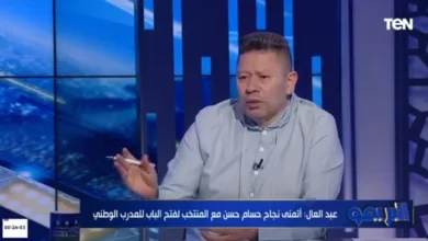 رضا عبدالعال يكشف تفاصيل مكالمته مع حسام حسن بعد الهجوم ضده !!! - فيديو