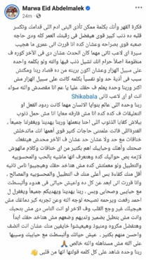 بعد وفاة أحمد رفعت.. مروة عبد الملك تعتذر لشيكابالا عن إسائتها له.. وتوجه رساله إلى الجماهير - صورة