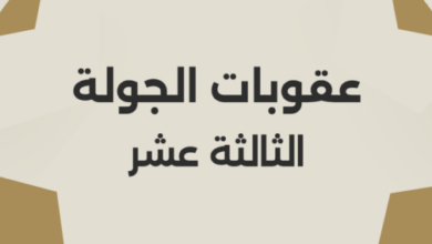 أبرزها إيقاف رباعي الزمالك.. رابطة الأندية تعلن عقوبات الجولة الـ13من الدوري