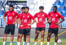 شروط غامضة تهدد اتفاق الأهلي مع المدرب الجديد