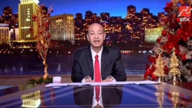 عمرو أديب يلقن شوبير درسا قاسيا بسبب نجله مصطفى ومحمد الشناوي- فيديو