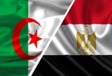 صدام العمالقة يشتعل.. مصر في مواجهة الجزائر بكأس أمم إفريقيا لكرة اليد