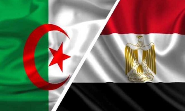 صدام العمالقة يشتعل.. مصر في مواجهة الجزائر بكأس أمم إفريقيا لكرة اليد 1 صدام العمالقة يشتعل.. مصر في مواجهة الجزائر بكأس أمم إفريقيا لكرة اليد