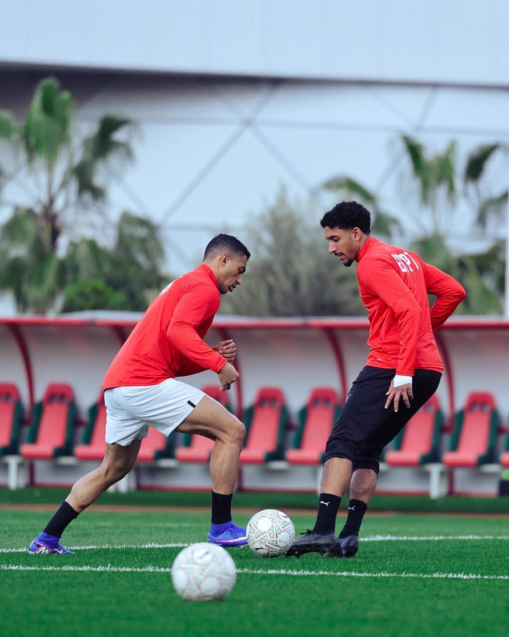 منتخب مصر يختتم تدريباته استعدادًا لمواجهة نيجيريا في بطولة إفريقيا- صورة