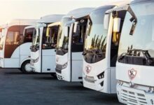 "زحف أبيض نحو الحسم".. 20 حافلة تنقل جماهير الزمالك لمعركة كايزر تشيفز المصيرية