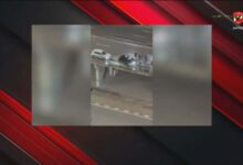 أسامة حسني يكشف كواليس "ليلة الرعب" لبعثة الأهلي قبل مواجهة الترجي.. وقرار مرتقب