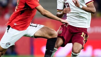 مدرب منتخب مصر السابق: الفراعنة أبهروا الجميع أمام إسبانيا