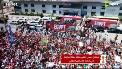 عاجل.. بعثة الفراعنة تصل مطار العلمين الدولي وسط استقبال جماهيري أسطوري بعد ملحمة المونديال!